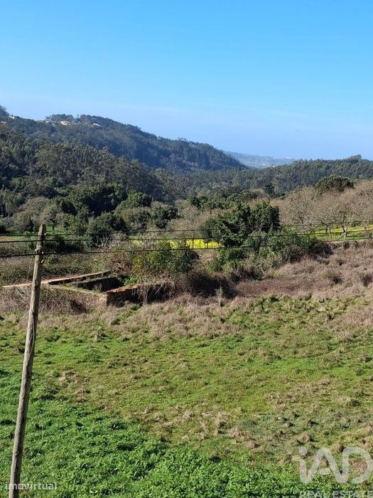 Terreno misto em Turquel