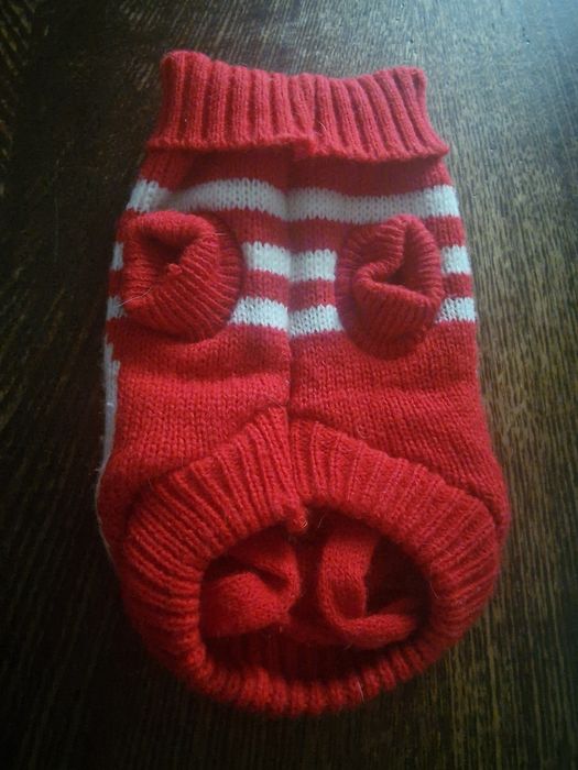 Кофточка для котів та цуценят!!!