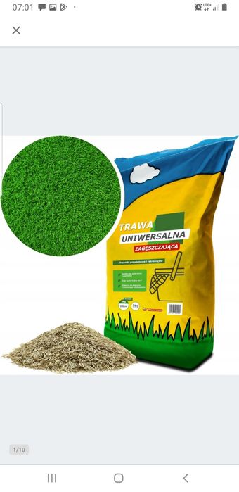 Trawa ogrodowa Arpon 200 m² 5 kg nasiona traw