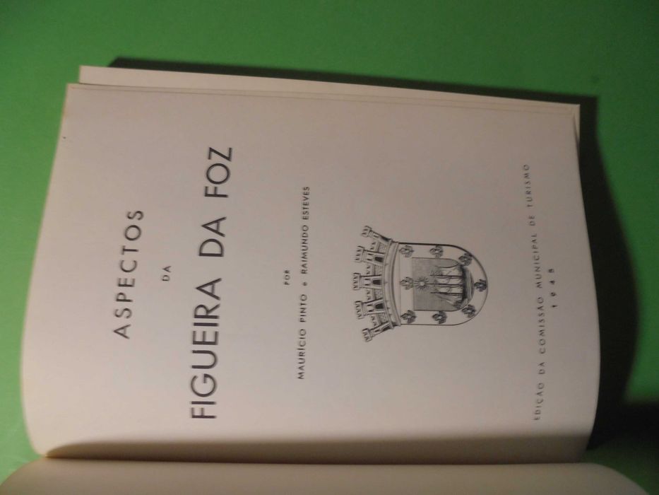 Figueira da Foz-Pinto (Maurício-Raimundo Esteves);Aspectos