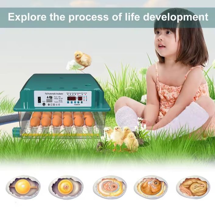 Chocadeira automática 36 ovos