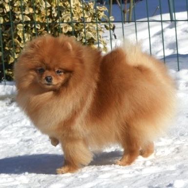 Дівчинка 1 рік ….