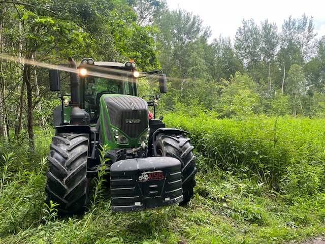 Mulczowanie działek leśnych czyszczenie nieużytków frezowanie pni .