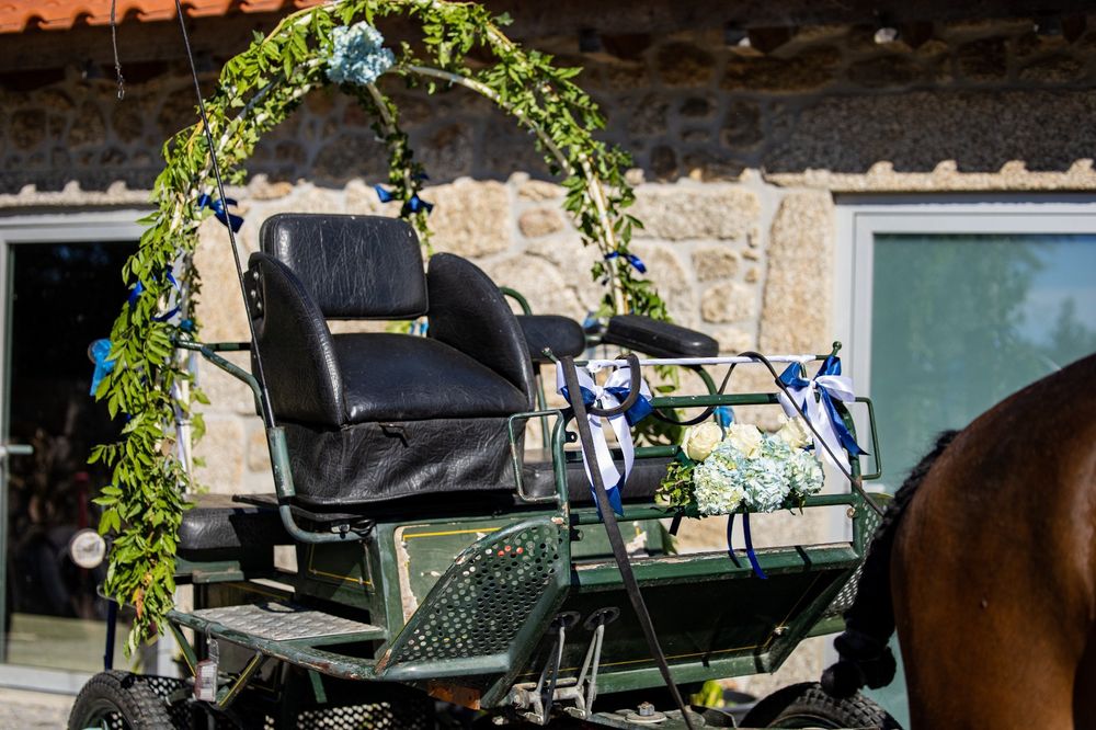 Faço serviços com maratona