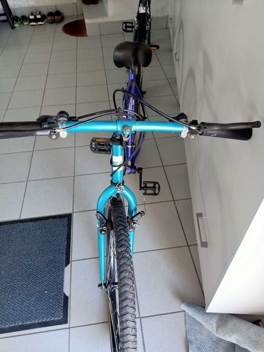 Bicicletas de adulto