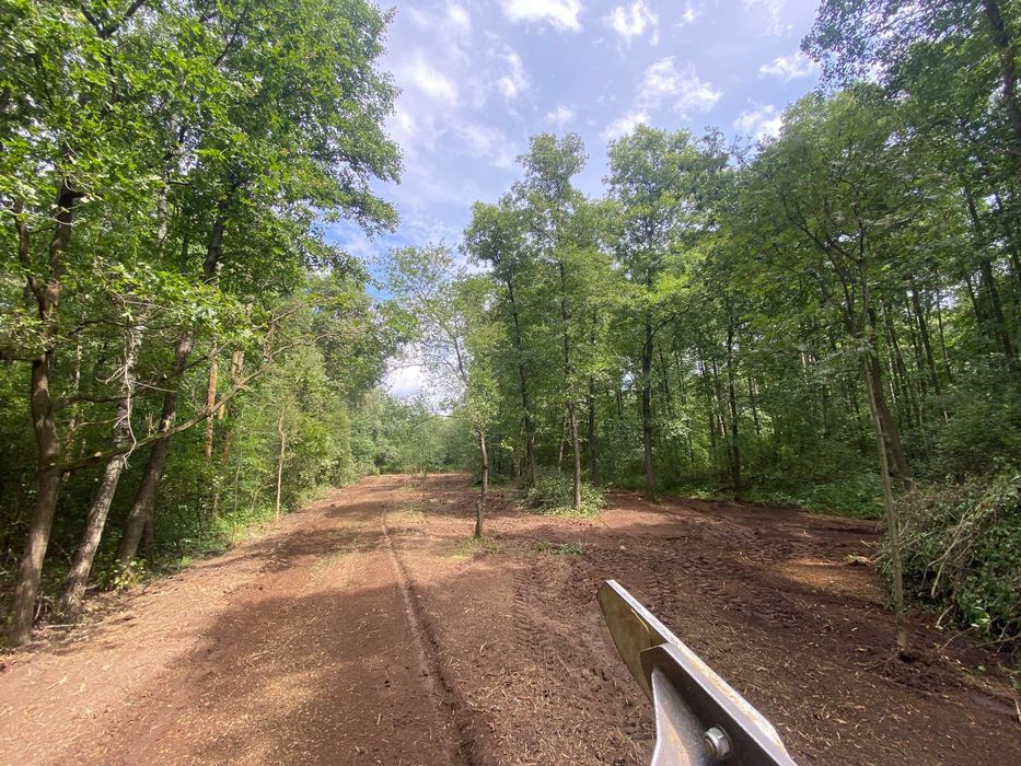 Usługi Mulczerem leśnym (karczowanie, oczyszczanie) Wycinka drzew.