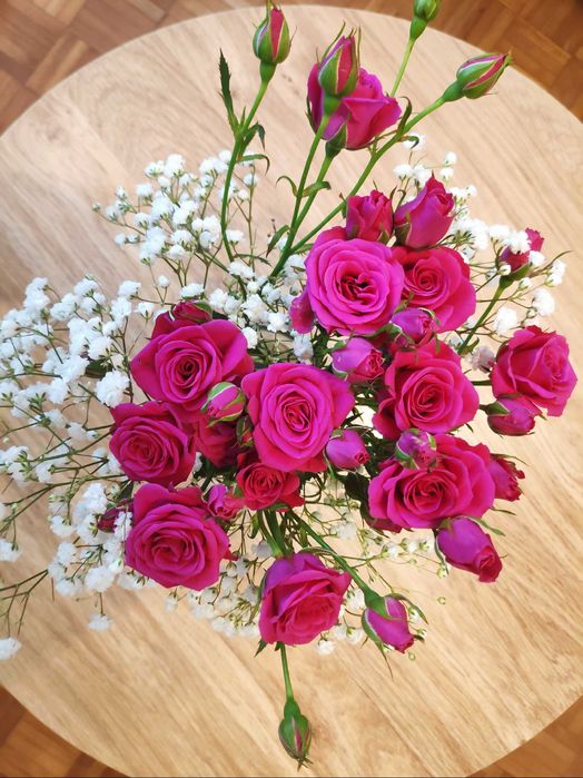 Apartament OWOCOWY. Nocleg Sandomierz