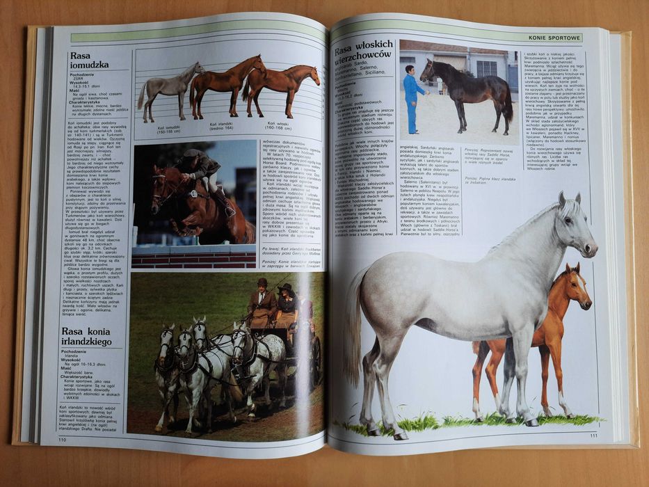 Książka "Konie - Ilustrowana Encyklopedia" - Jane Kidd - stan bdb