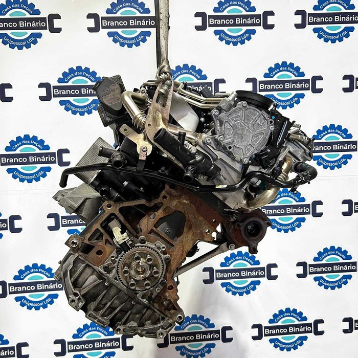 Motor Volkswagen 2.0 TDI (cgl)