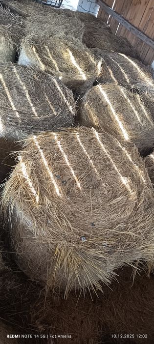 Sprzedam Baloty  siana tegoroczne