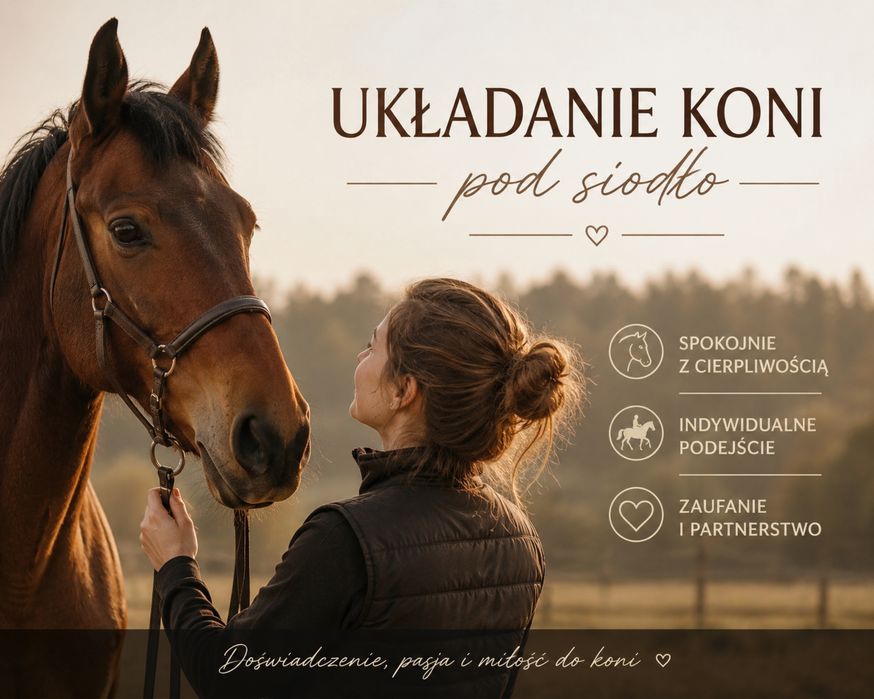 Układanie i przygotowanie koni pod siodło
