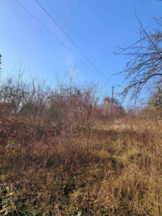 Продаж земельної ділянки під забудову в с.Бохоники 0962