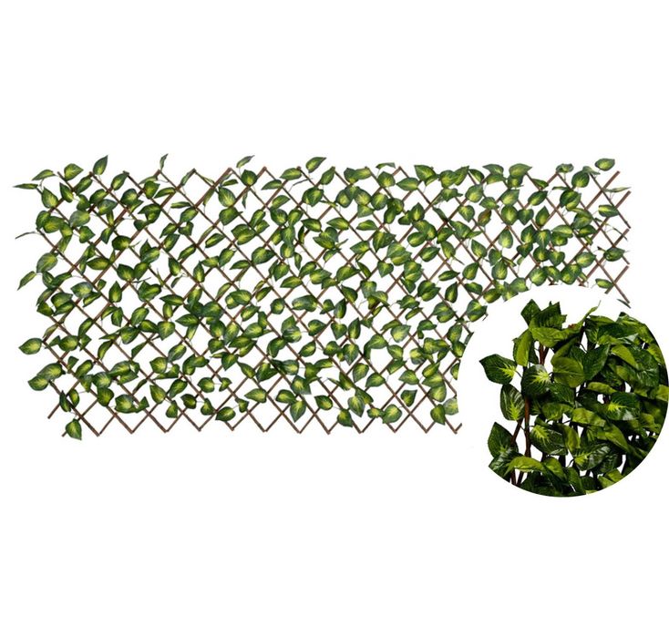 Treliça de Sebe articial scindapsus para ocultação ou vedação