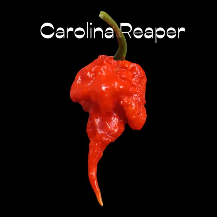 Sementes de Carolina Reaper
