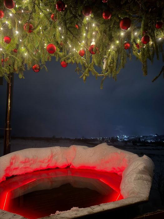 “Freedom” house. Free.dom.23. Котедж в Закарпатті