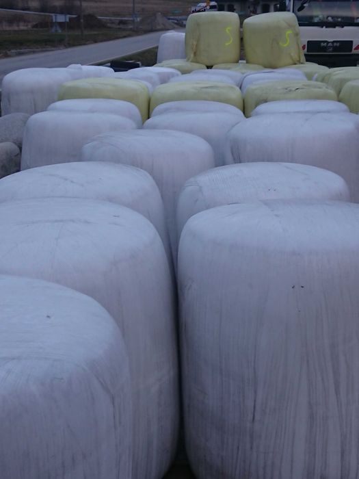 Wysłodki buraczane w balach