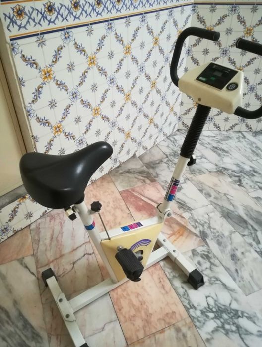 Miralago Stationary Bike