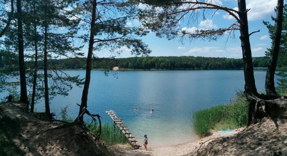 Участок у озера, в лесу. Олешня.Голубые озёра.