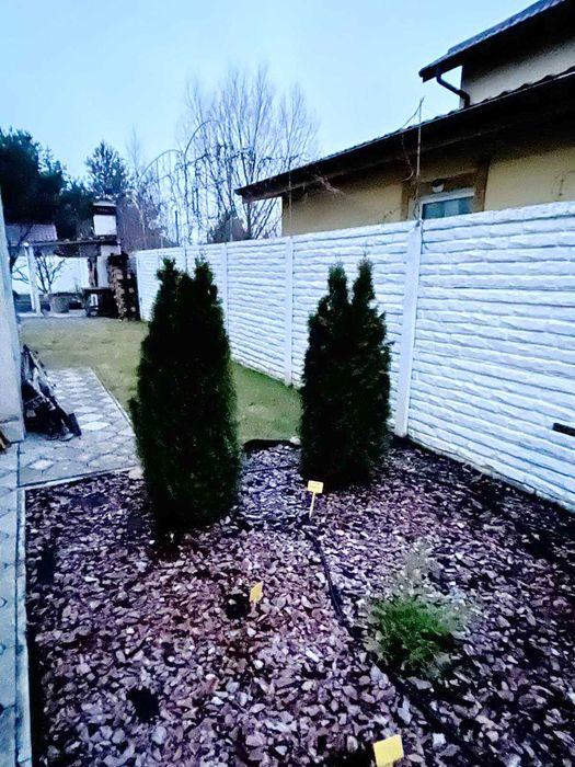 Продаж заміського будинку для постійного проживання в Колонщині