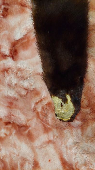 Продам шкурку норки