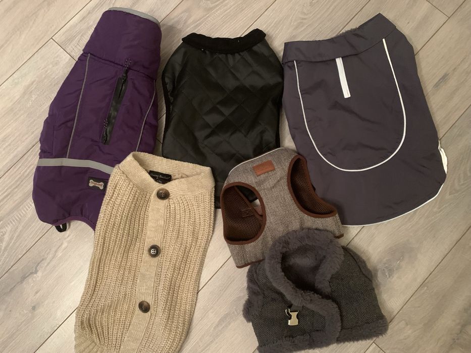 Шлейка для собаки