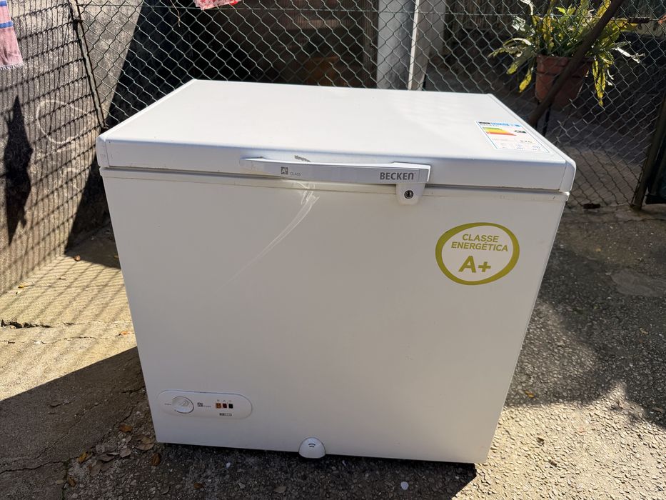 Arca congeladora Becken