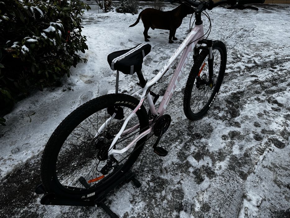 Rower Storm Shark 2.0 29” rama 16 MTB Górski