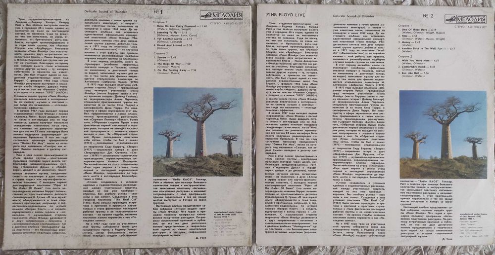 Pink Floyd – Delicate Sound Of Thunder № 1, №2 (2LP), 1990