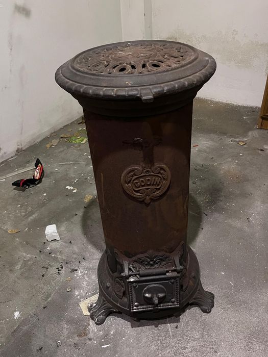 Salamandra godin em bom estado