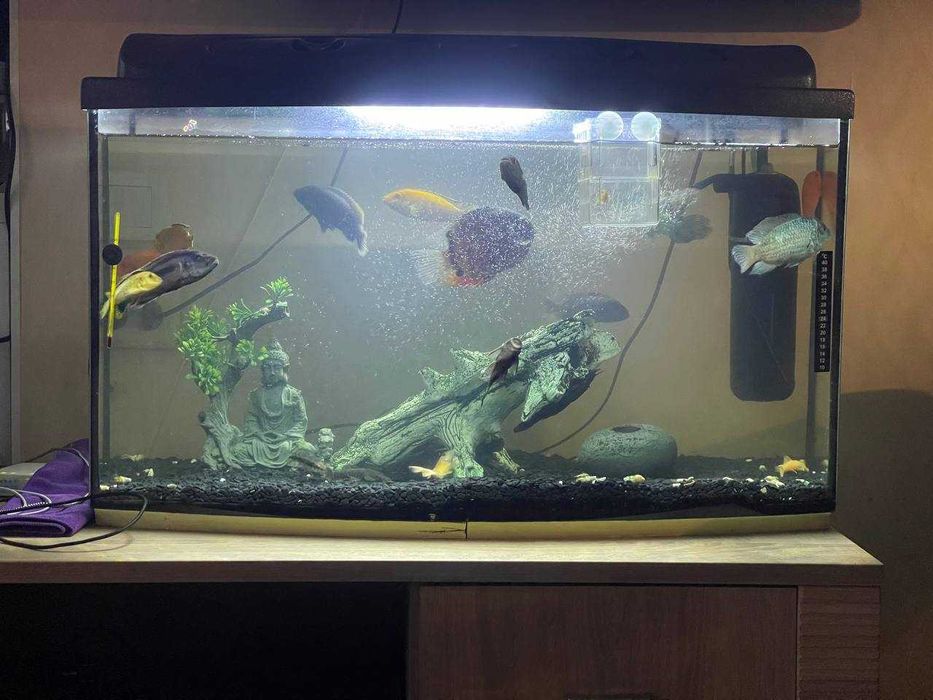 Продаю повністю укомплектовану акваріумну систему