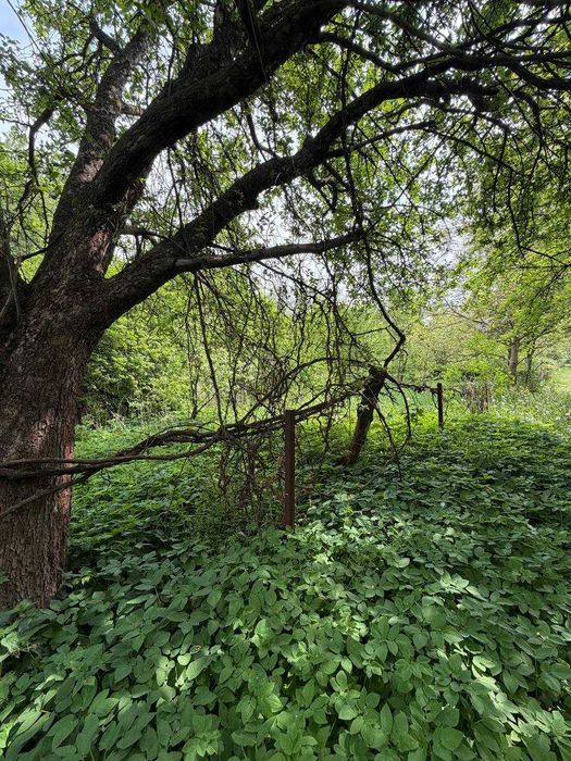 Продаж земельної ділянки