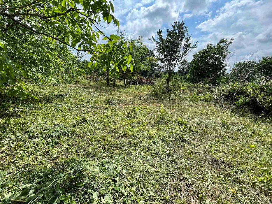 (3) Продам земельну ділянку в Луці- Мелешківській 5795