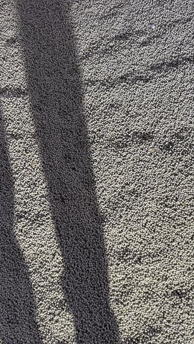 Семена Зелений горох Зекон