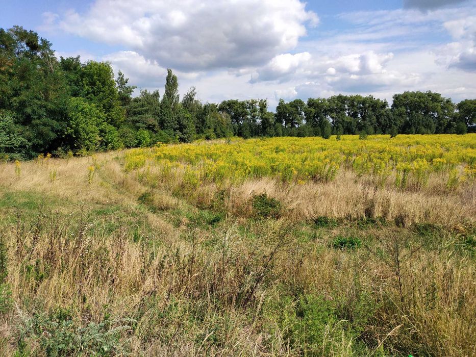 Продам 50-сот землі фасад село Глибочиця об'їзна дорога на Вінницю