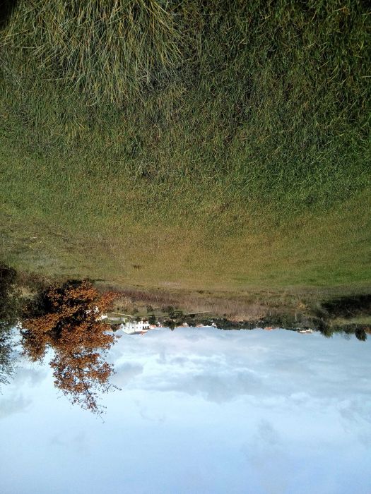 Terreno  rustico Tomar (2208 m2)