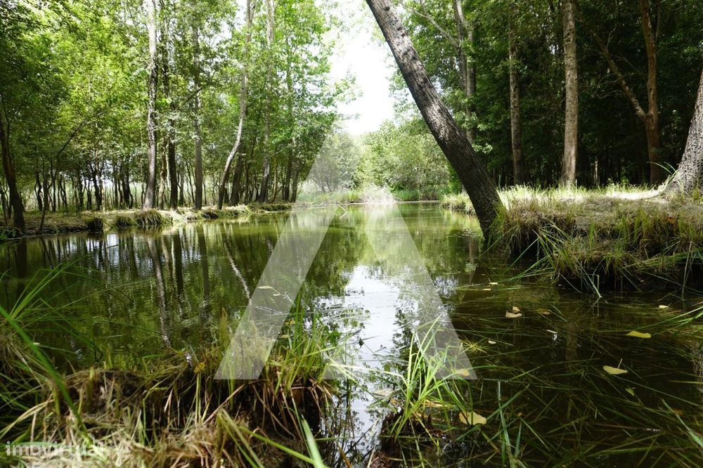 Terreno agrícola situado na zona de Horta em Eixo, Aveiro