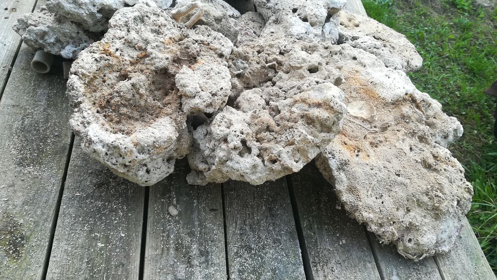 Skała koralowa do morskiego akwarium