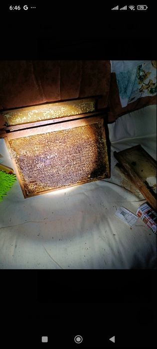 Продам рамки с медом и суш