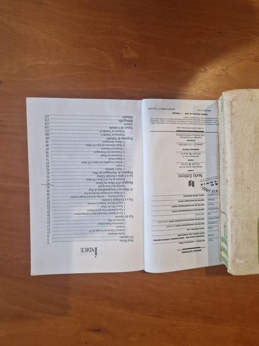 Romance "Os Maias", Eça de Queirós e livro de análise da obra