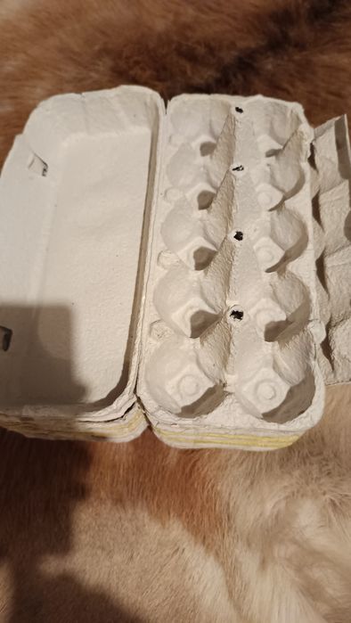 Wytłaczanki na 10 jajek