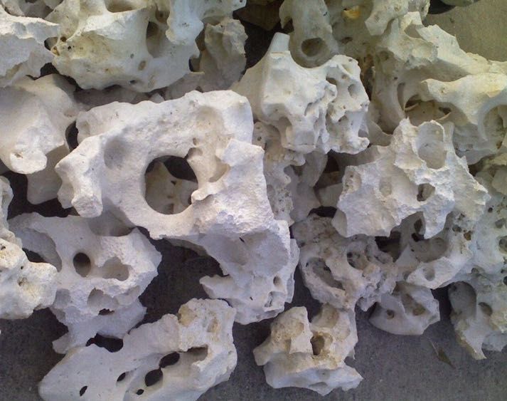 Wapień Filipiński Skałki Dekoracja do Akwarium i Terrarium Malawi