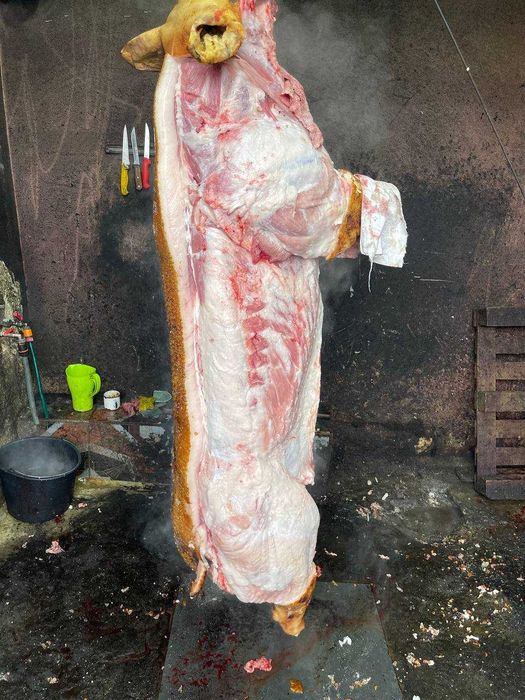 Тушки свиней за ОПТОВИМИ ЦІНАМИ. М'ясо, Сало. Телефонуйте!