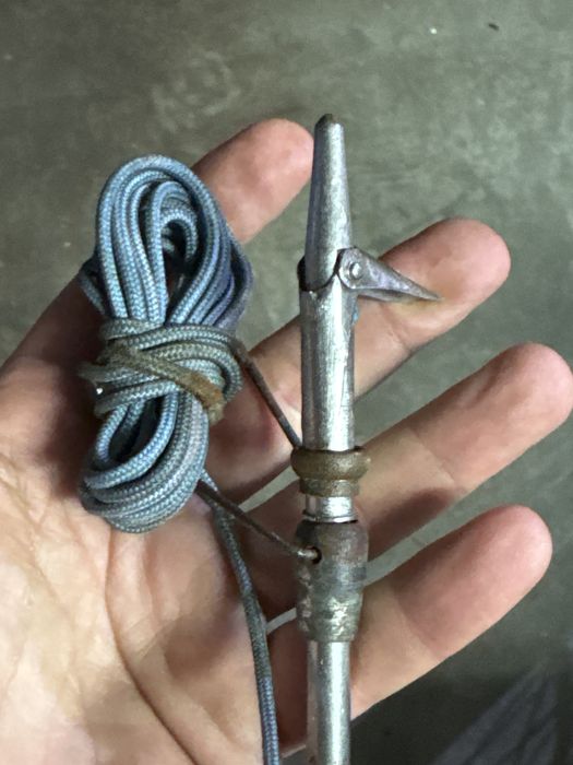 Rene  cavalero 70 cm