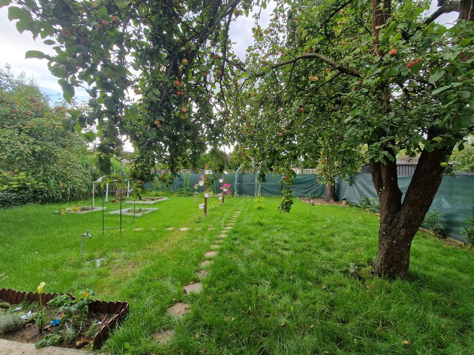 Działka Rod Camping Złotowska - Widok 5