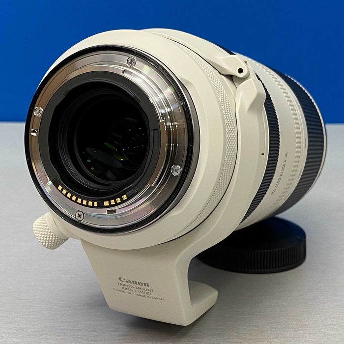Canon RF 100-500mm f/4.5-7.1 L IS USM