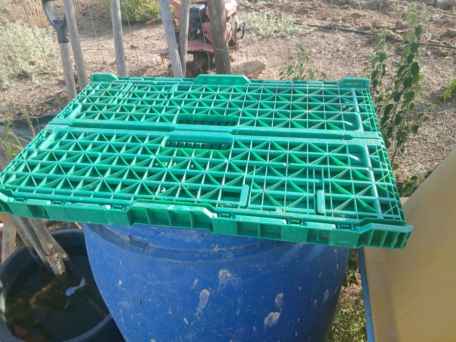 Caixas plásticas para venda