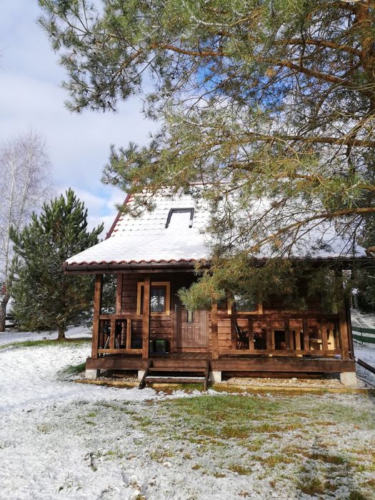Domek z linią brzegową na mazurach Mazury Domki letniskowe Noclegi