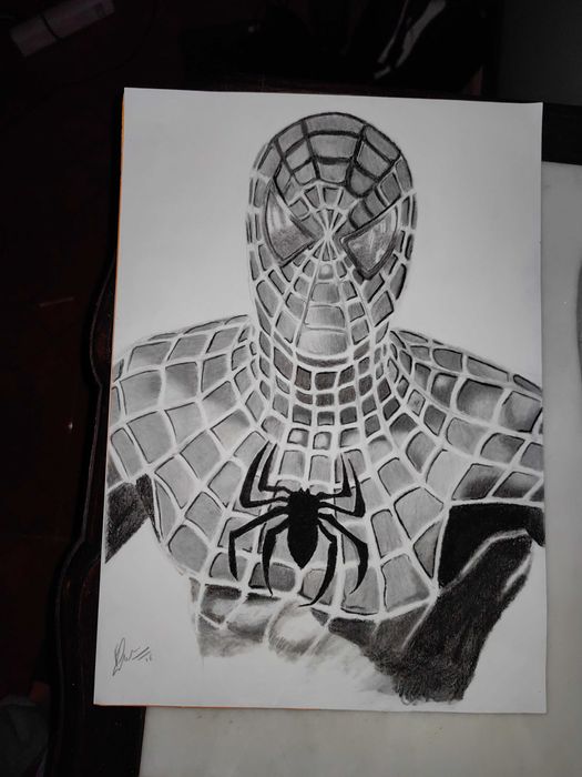 Desenho realista Homem-aranha Feito à mão Com quadro incluído