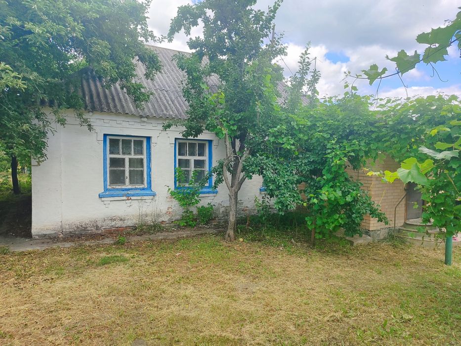 Продам будинок в селі Северинівка