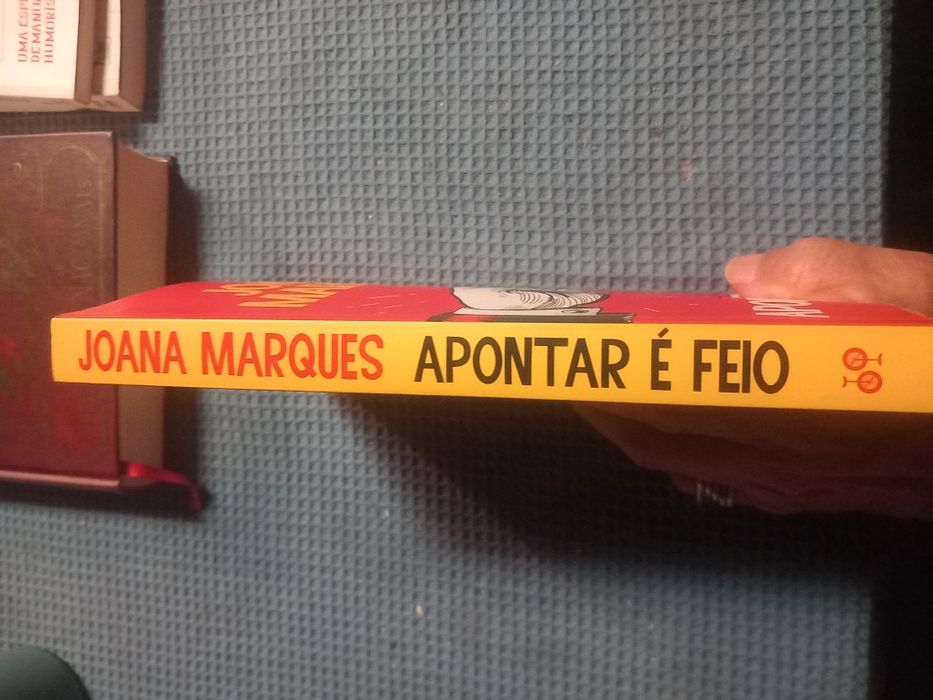 Livro Apontar é Feio